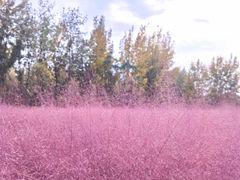 -汉长安城未央宫国家考古遗址公园