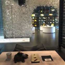-THANN EXPRESS SPA