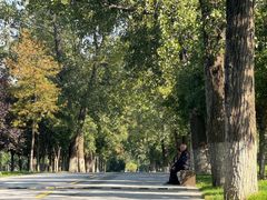 -汉长安城未央宫国家考古遗址公园