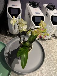 -花隐·美芙炫海菲秀皮肤管理中心