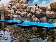 -华夏文旅海洋公园