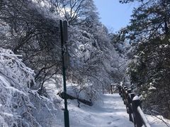 -老君山风景名胜区