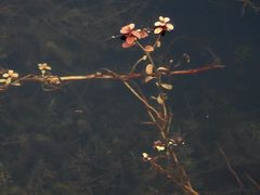 -维乐口腔医院(星海湾分院)