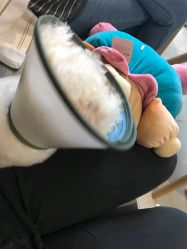 -Hands Nail专业美甲美睫