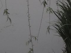 -泰州凤城河风景区-泰山公园