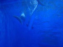 -多彩贵州城极地海洋世界