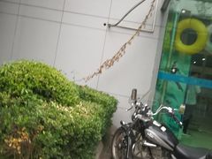 -沈坚强游泳俱乐部(武宁南路店)