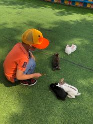 -萌宠亲子动物乐园(槐房万达店)