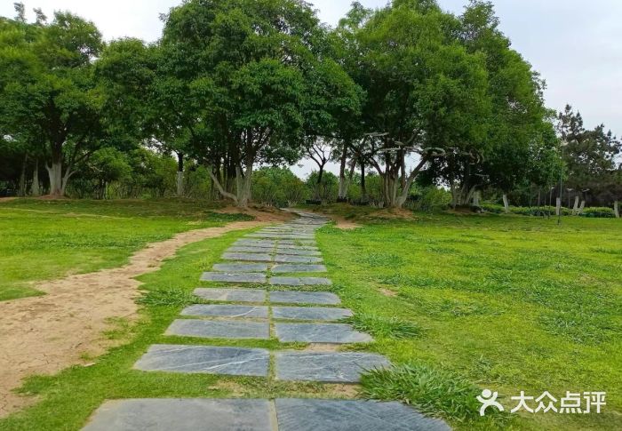 合肥生态公园图片