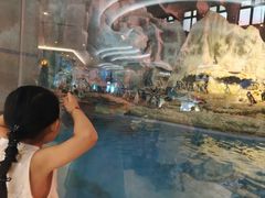 -帝企鹅自助餐厅•儿童岛•真企鹅(长隆企鹅酒店)