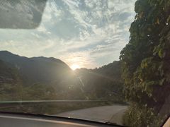 -黑河坝泡姜鸡贡椒鱼(贾旗路店)