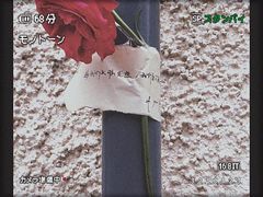 -花到家(富贵鸟花艺行)