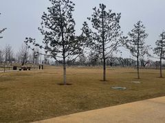 -汉长安城未央宫国家考古遗址公园