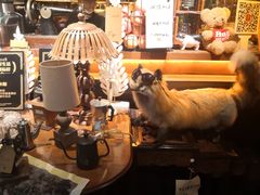 -杂咖zacup(领展中心城店)