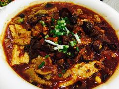 -辣四方新派川菜