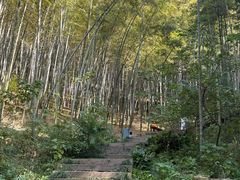 -天目湖山水园