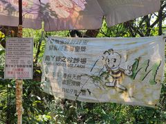 -南丫岛