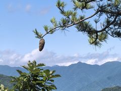 -牛背梁国家森林公园
