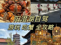 -莲花岛景区