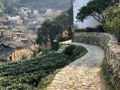 -杨家堂村