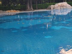 -湖泉半山温泉(湖泉生态园)