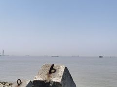 -上海滨江森林公园