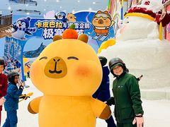 -广州热雪奇迹