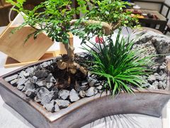 -翁暖茶馆(滨江东总店)