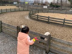-前小桔亲子创意农场·草莓采摘·露营烧烤