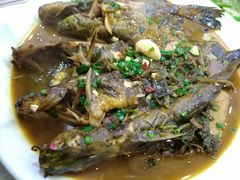 -溱湖八鲜菜馆
