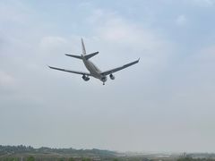 -空港花田景区