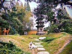 -龙华寺