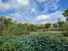 -沐仙湖湿地公园