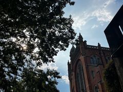 -上海佘山国家森林公园西佘山园