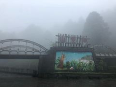 -阿里山神木遗迹