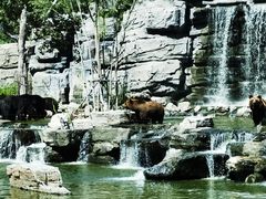 -北京野生动物园