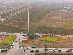 -洛阳市隋唐城遗址植物园