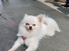 -老味茶屋(川沙老街店)