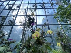 -东莞植物园