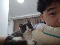 -lincat·猫舍(广州店)