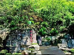 -铁山坪森林公园