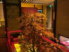 -千代武日本料理(爱建店)