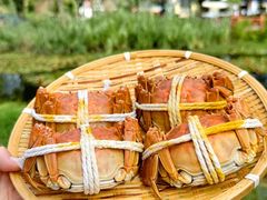 -丫丫蟹庄·苏式园林农家乐·阳澄湖大闸蟹(阳澄湖莲花岛店)