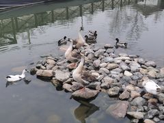 -荷塘味道(水长城店)
