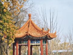-渭滨公园