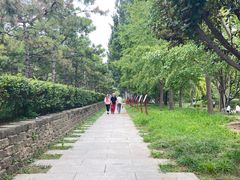 -元大都城垣遗址公园