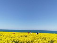 -青海湖国家重点风景名胜区