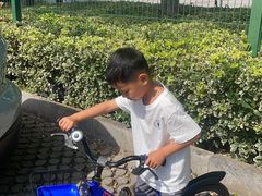 -九里河湿地公园