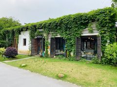 -田园东方蜜桃村的田野营地