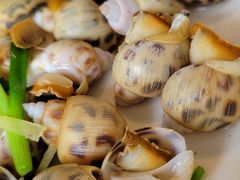 -凯华海鲜火锅·传承三十六年